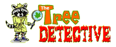 The Tree Detective: Learning to identify trees is fun and important. Once you've learned more about trees you can help the Tree Detective solve a mystery!
